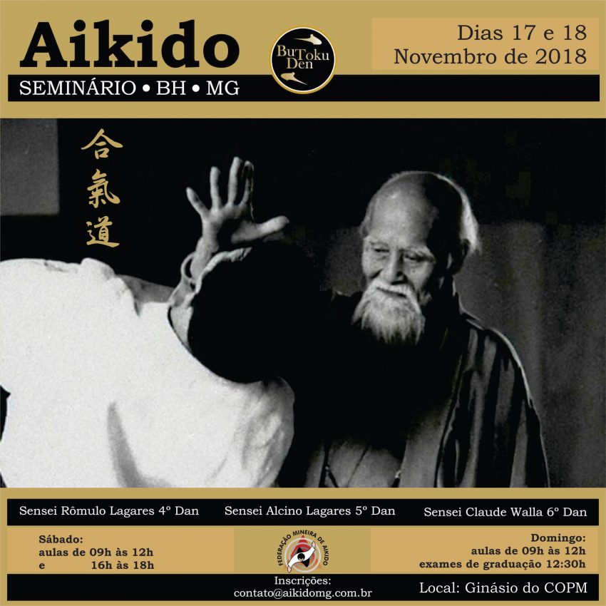 Seminario de aikido novembro