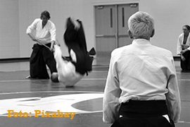 Seminário de Aikido